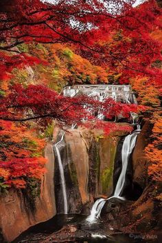 a waterfall surrounded by trees with red leaves