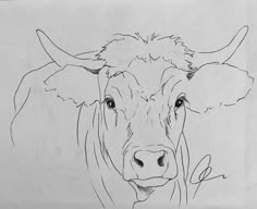 a black and white drawing of a cow's face