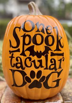 a pumpkin with the words one spook tacular dog written on it