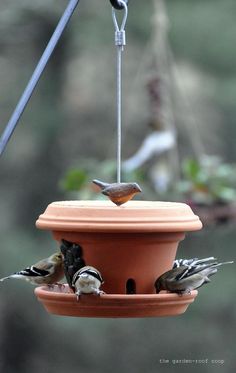 a bird feeder with two birds on it