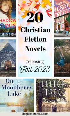 the covers of 20 christian fiction novels released in fall 2013