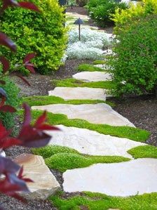 a stone path with green moss growing on it