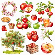 an apple tree with apples and other fruit