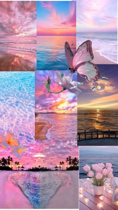 a collage of pictures with flowers and butterflies flying over the ocean at sunset or sunrise