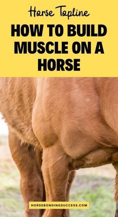 a brown horse standing on top of a lush green field next to a yellow sign