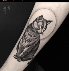 a black and white cat sitting on top of a person's arm with the moon behind it