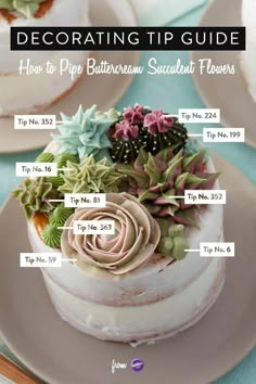 a cake with different types of succulents on it and the words decor tip guide