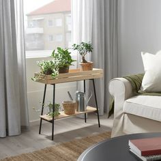 a living room with a couch, coffee table and potted plants on the shelf