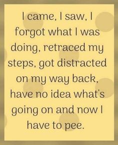 a quote that says i came, i saw forgot what i was doing, replaced my steps, got distracted on my way back, have no idea what's going on and now i have to pee