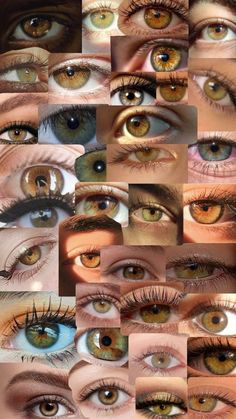 Hazel Green, 얼굴 그리기, Types Of Eyes, Aesthetic Eyes, Hazel Eyes