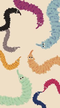 an image of colorful caterpillars on a white background