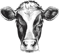 a black and white drawing of a cow's face