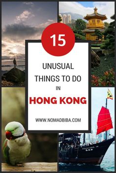 the words unusual things to do in hong kong with pictures of boats, buildings and birds