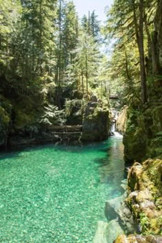 an image of a river in the woods with green water and trees on either side