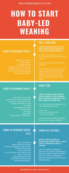 how to start baby - led weaning info sheet with text overlaying