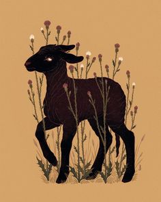 a black sheep standing in tall grass with flowers on it's back legs and eyes