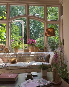 a living room filled with furniture and lots of windows