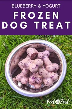 blueberry and yogurt frozen dog treat in a metal bowl on the grass