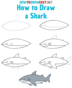 how to draw a shark for kids