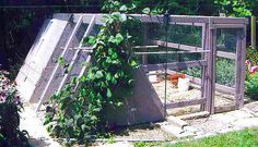 a small caged in area with plants growing out of it and an animal inside