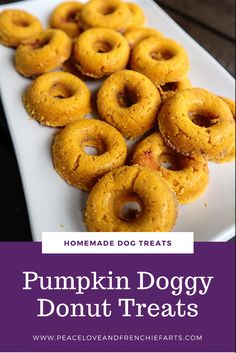 pumpkin doggy donuts on a white plate with purple text overlay that reads homemade dog treats