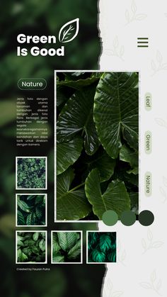 green is good brochure with photos and leaves