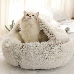 a white cat sitting in a fluffy bed