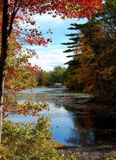 a river surrounded by lots of trees with red and yellow leaves on the water's edge