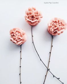 three pink flowers are placed next to each other on a white surface with black stems