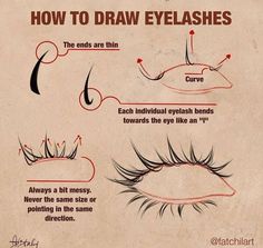 how to draw eyelashes for beginners with step by step instructions on the front and side