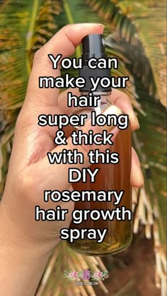 Rosemary Hair Water Diy, Rosemary Water Recipes For Hair, Rosemary Essential Oil Water For Hair Growth, Rosemary Water Diy, Rosemary Rinse For Hair Growth, Rosemary Oil Spray For Hair Growth, Making Rosemary Water For Hair, Hair And Nail Growth Tips, Rosemary Oil Water For Hair Growth