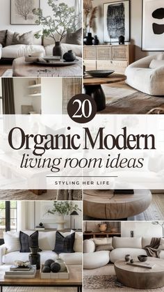 an image of living room furniture with the title overlaying 20 organic modern living room ideas