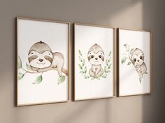 three pictures of sloths hanging on the wall