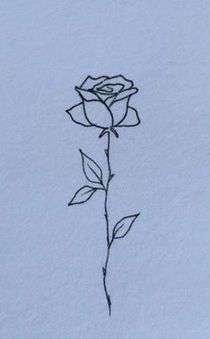 a drawing of a single rose in the snow