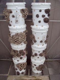 two tall white vases with pine cones on them