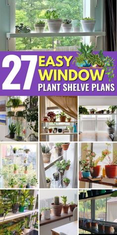 the cover of an easy to use window plant shelf plan is shown in multiple pictures