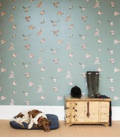 a brown and white dog laying on top of a bed next to a wallpaper