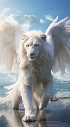 a white lion with wings is walking on the beach and looking at the camera man