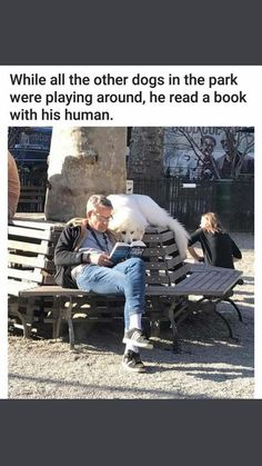 a man sitting on a park bench with his dog next to him and reading a book