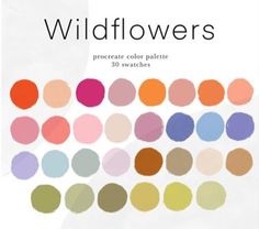 the cover of wildflowers by kostaia, with colorful circles in different colors