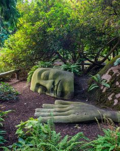 some very big statues in the woods