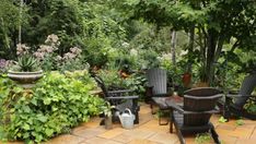 an outdoor patio with chairs and potted plants on the ground, surrounded by greenery