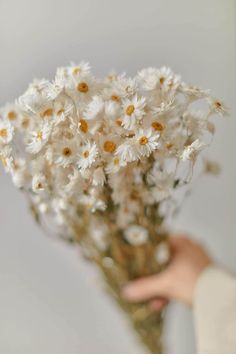 a person holding a bouquet of daisies in their hand