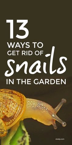 a snail with the words 13 ways to get rid of snails in the garden