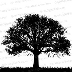 a black and white silhouette of a tree with no leaves on the grass in front of it