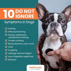 a person holding a dog in their lap with the caption 10 do not ignore symptoms in dogs