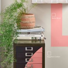 a potted plant sitting on top of a filing cabinet next to books and magazines