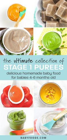 the ultimate collection of stage 1 purees delicious homemade baby food for babies 4 - 6 months old