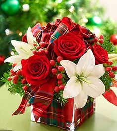 a red and white christmas flower arrangement in a glass vase with greenery on the side