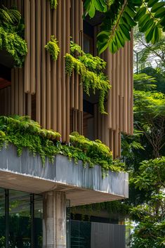 the building has many plants growing on it